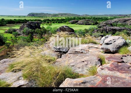 Australien, Northern Territory, Kakadu National Park als Weltkulturerbe von der UNESCO zum Ubirr Rock aufgeführt Stockfoto