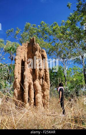 Australien, Northern Territory, Litchfield National Park, Dom Termite Hügel (Herr Dawa "OK") Stockfoto