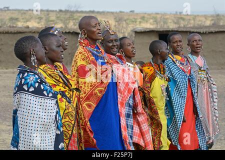 Kenia, Masai Mara Reserve, Massai Frauen eine traditionelle Begrüßung des Singens in einem Massai-Dorf Stockfoto