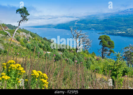 NEBELWOLKEN CLEARING ÜBER LOCH NESS IM SPÄTSOMMER Stockfoto