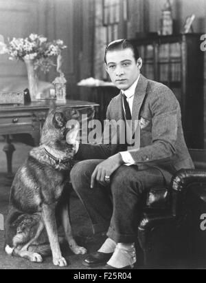 RUDOLPH VALENTINO (1895-1926) italienischer amerikanischer Stummfilm Schauspieler Stockfoto