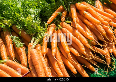 Devizes, eine Stadt im Herzen von Wiltshire, England UK-Markt frische Karotten Stockfoto