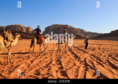 Kamel-Karawane in der Wüste Wadi Rum Stockfoto