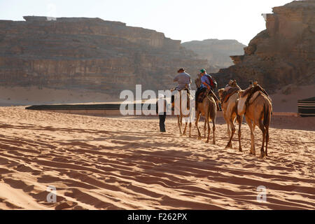 Kamel-Karawane in der Wüste Wadi Rum Stockfoto