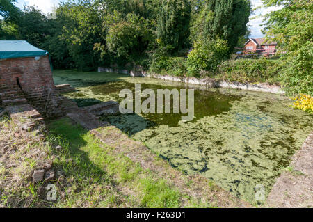 CHISLEHURST, KENT, UK, 12. September 2015. Die jährlichen offenen Wochenende Scadbury Manor, Orpington & Bezirk archäologische Gesellschaft, ist dieses Jahr am 12. / 13. September statt. Die Überreste der mittelalterlichen Wasserburg Herrenhaus befinden sich zwischen Chislehurst und Sidcup und Besucher sind in der Lage, eine geführte Tour rund um den Ort mit Archäologen zur Verfügung, um Fragen zu folgen. Bildnachweis: Steven Sheppardson/Alamy Live-Nachrichten Stockfoto