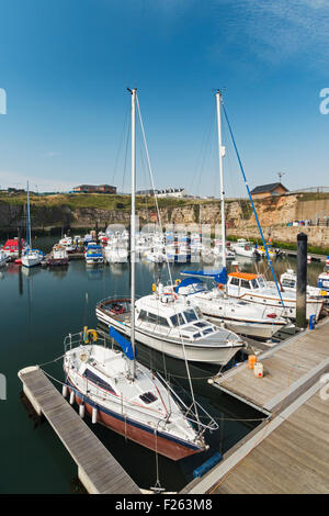 Seaham Hafen voller Sportboote und Yachten, County Durham, England Stockfoto