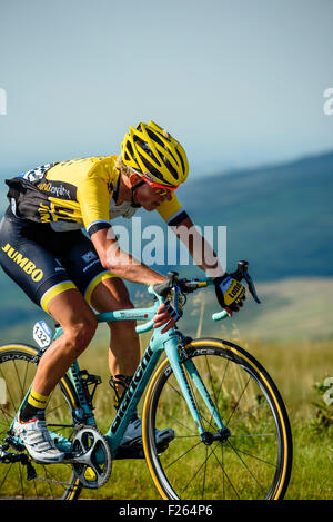 Koen Bouwman (Ned) Team LottoNL-Jumbo auf der Steigung von Hartside auf der 5. Etappe der Tour of Britain 2015 Stockfoto