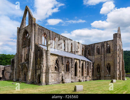 Die Ruinen von Tintern Abbey, in der Nähe von Chepstow, Wye Valley, Monmouthshire, Wales, UK Stockfoto