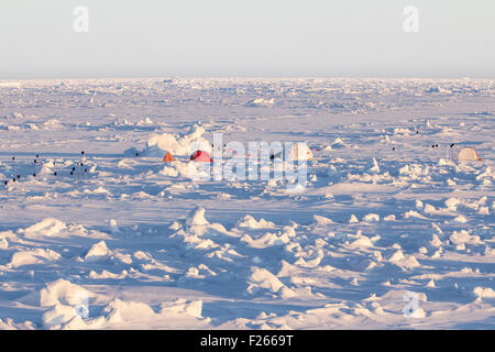 Zelt und Kuppeln einer Forschung Ice Camp auf einer Eisscholle in der Antarktis Stockfoto