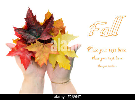 Blätter fallen bei Frauen Hände isoliert auf weiss Stockfoto