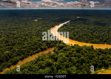 Regenwald-Antenne, Yavari-Mirin Fluss, Oxbow See und Urwald, Amazonas, Peru Stockfoto