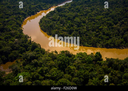 Regenwald-Antenne, Yavari-Mirin Fluss, Oxbow See und Urwald, Amazonas, Peru Stockfoto