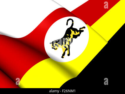 3D Flagge von Federated Malay States (1895-1946). Hautnah. Stockfoto