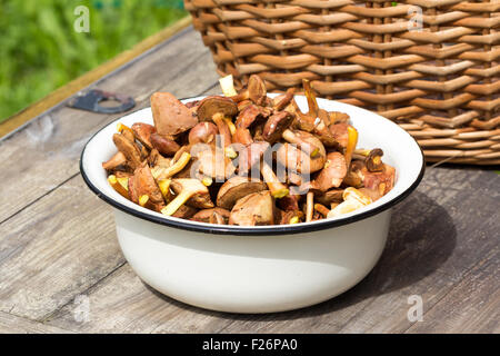 Schüssel mit frischen Waldpilzen auf rustikalen Tisch Stockfoto