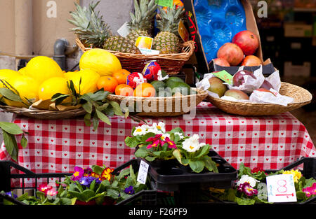 Früchte auf Weidenkorb in den Früchten Stockfoto