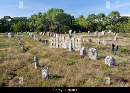 Carnac, Frankreich. Die Kerlescan Gruppe von prähistorischen Stein r. Ausrichtungen. Westlich vom Zentrum von der jungsteinzeitlichen Megalith-monument Stockfoto