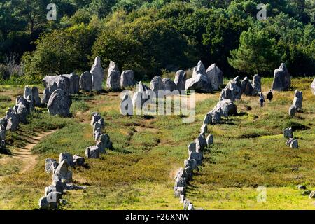 Carnac, Bretagne, Frankreich. Kermario-Gruppe von prähistorischen Stein Rudern Achsen nach Südwesten in Richtung der höchsten Stockfoto