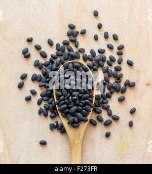 Black Turtle Bohnen, glänzende verschiedener Gartenbohnen (Phaseolus Vulgaris, beliebt in lateinamerikanische Küche Stockfoto