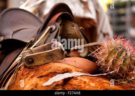 Sattel und Kaktus auf roten Felsen Stockfoto