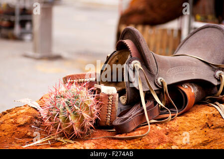 Sattel und Kaktus auf roten Felsen Stockfoto