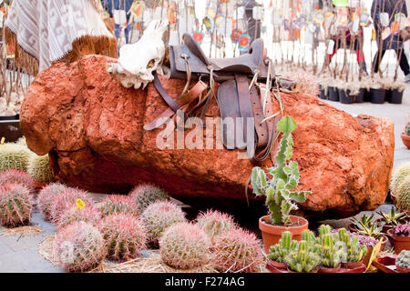 Sattel und Kaktus auf roten Felsen Stockfoto