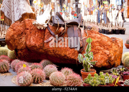 Sattel und Kaktus auf roten Felsen Stockfoto