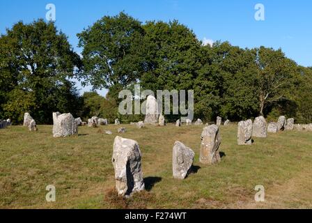 Carnac, Bretagne, Frankreich. Der östliche Teil des Arbeitskreises Manio prähistorischen Stein Rudern Achsen nordöstlich suchen Stockfoto