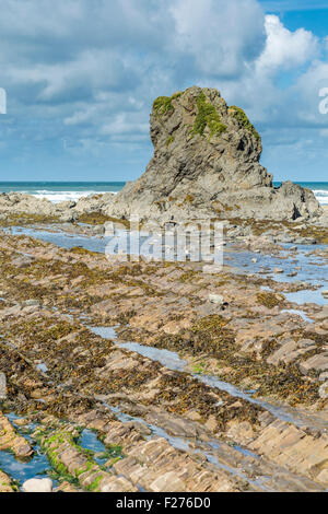 Ein Blick auf die Felsformationen Widemouth Bay, North Cornwall, UK Stockfoto