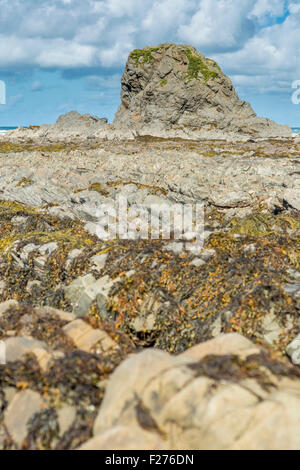 Ein Blick auf die Felsformationen Widemouth Bay, North Cornwall, UK Stockfoto