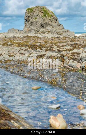 Ein Blick auf die Felsformationen Widemouth Bay, North Cornwall, UK Stockfoto