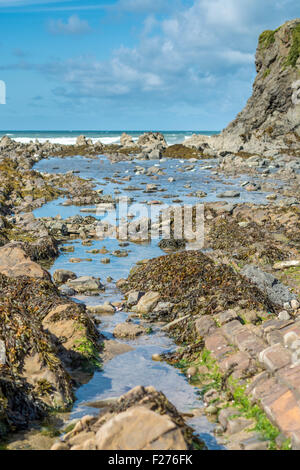 Ein Blick auf die Felsformationen Widemouth Bay, North Cornwall, UK Stockfoto