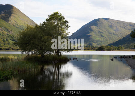 Reflexion des mittleren Dodd in Brüder Wasser, Lake District, Großbritannien Stockfoto