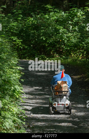 Mann in motorisierten Rollstuhl auf einen Wanderweg in Sitka National Historic Park, Sitka, Alaska. Stockfoto