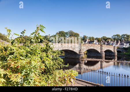 Brücke über den River Cree bei Newton Stewart, in The Machars Region Dumfries and Galloway, Schottland. Stockfoto