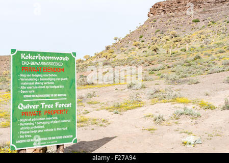 GANNABOS, Südafrika - 11. August 2015: The Köcherbaumwald auf Gannabos bestehen aus Tausenden von der Köcherbäume (Aloe dicho Stockfoto