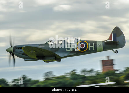 Zwei sitz Spitfire low level in Goodwood Revival 2015. Zweiten Weltkrieg Kampfflugzeug für die Ausbildung umgewandelt und Passagiere Stockfoto