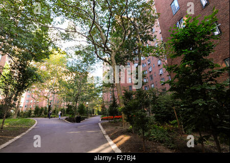 Stuyvesant Town Apartment und Landschaftsbau in New York City, New York. Gang durch die Anlage. Stockfoto