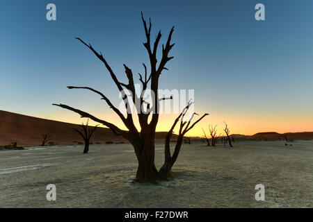 Dead Vlei in der Abenddämmerung im südlichen Teil der Namib-Wüste, in der Namib-Naukluft Nationalpark Namibias. Stockfoto