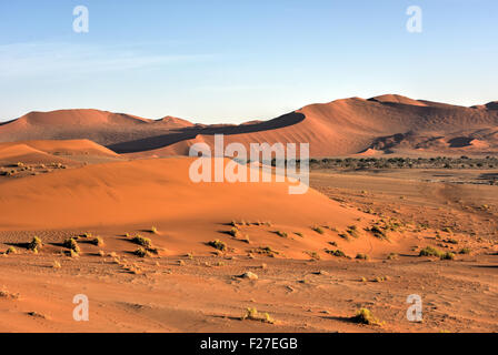 Hidden Vlei im südlichen Teil der Namib-Wüste, in der Namib-Naukluft Nationalpark Namibias. Stockfoto