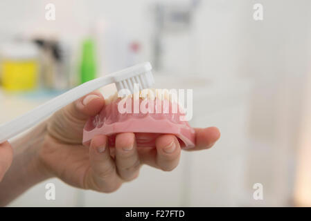 Zahnarzt Hand hält ein Modell der Zähne und zeigt, wie Sie reinigen die Zähne mit der Zahnbürste, München, Bayern, Deutschland Stockfoto