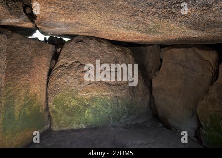 Mähne Lud neolithischen Dolmen gekammert Cairn. Locmariaquer, Bretagne, Frankreich. Geschnitzte spritzenden Wal auf dem Durchgang Ende Stein Stockfoto