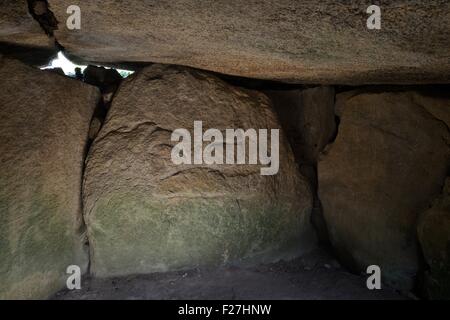 Mähne Lud neolithischen Dolmen gekammert Cairn. Locmariaquer, Bretagne, Frankreich. Geschnitzte spritzenden Wal auf dem Durchgang Ende Stein Stockfoto