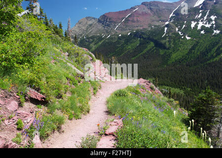 Glacier-Nationalpark in Montana Stockfoto