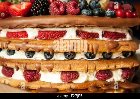 Schokolade Schicht Biskuit mit Beeren garniert Stockfoto