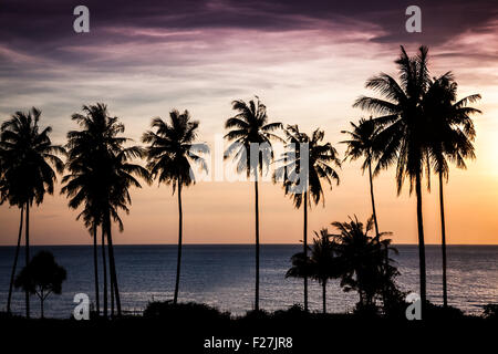 Tropischer Sonnenuntergang über Meer mit Palmen Stockfoto