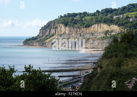 Ein Blick auf die Klippen zwischen Shanklin und Luccombe auf der Isle Of Wight Stockfoto