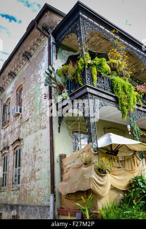 Ein launig funky Creole Stadthaus mit schwarzen schmiedeeisernen Balkonen und Hängepflanzen, French Quarter von New Orleans, LA Stockfoto