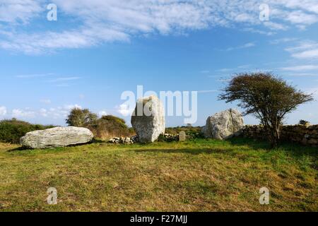 Die drei massive prähistorischer Menhire, jetzt gefallen, von den Trois Menhire Duchamps. Plouharnel, Bretagne, Frankreich Stockfoto