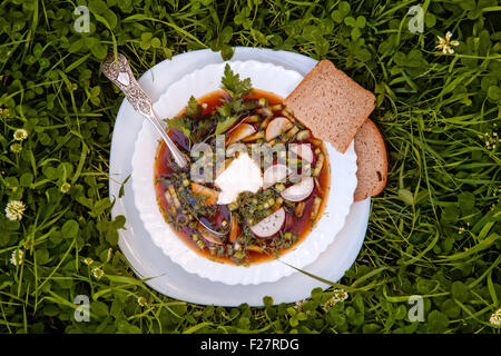 ein Teller Gemüse Suppe mit Brot in der Wiese Stockfoto