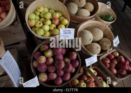 Äpfel und Melonen zu verkaufen in Körben auf einer Farm stehen in Vermont. Stockfoto